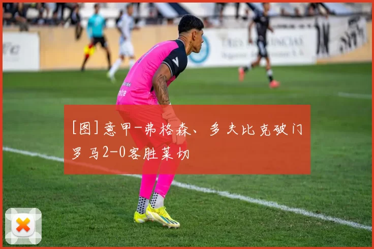 [图]意甲-弗格森、多夫比克破门 罗马2-0客胜莱切