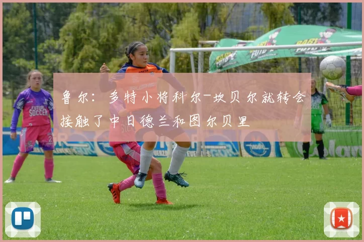 鲁尔：多特小将科尔-坎贝尔就转会接触了中日德兰和图尔贝里