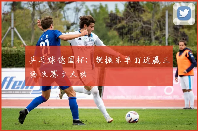 乒乓球德国杯：樊振东单打连赢三场 决赛立大功