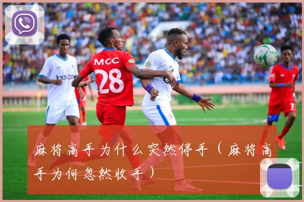 麻将高手为什么突然停手（麻将高手为何忽然收手）
