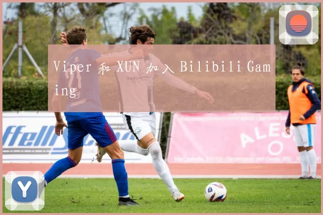 Viper 和 XUN 加入 Bilibili Gaming