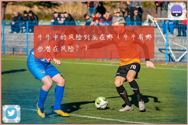 牛牛中的风险到底在哪（牛牛有哪些潜在风险？）