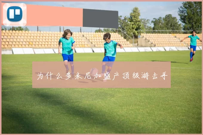 为什么多米尼加盛产顶级游击手